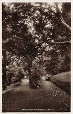 Postcard England: RPPC Woodhouse Ridge Tree-Lined Path, Leeds picture