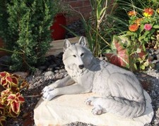 Resting Wise Gray Lone Wolf Figurine Timberwolves Pack Decorative Decor Statue picture