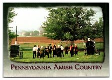 2000s - An Amish Volleyball Game - Lancaster, Pennsylvania Postcard (UnPosted) picture