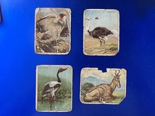 1909-11 Hassan Animals T29 Hassan King Vulture/Jabiru/Ostrich/Hartabeest picture