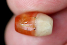 Wonderful Gandhara Ancient Carnelian Bead Well-Worn Excavated Relic 12x8mm #509 picture