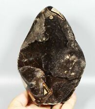 2.99lb NATURAL Septarian Dragon Quartz Crystal Stone Gem geode Mineral Specimen picture