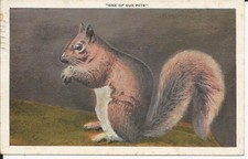 1949 OKEMAH OK PM OKLAHOMA PECANS LLOYD COOPER ARLINGTON VA VIRGINIA WILSON BLVD picture