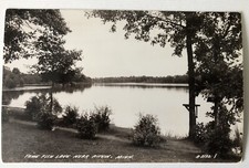 Vintage Postcard RPPC Real Photo Tame Fish Lake Near Aitkin MN Minnesota Summer picture