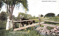 Jewett City CT Farmers Cows Rural Landscape c1915 Unused Postcard picture