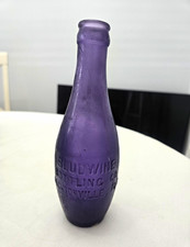 Vintage Bludwine Bottling Co. Purple Embossed Glass Soda Bottle, Jacksonville FL picture