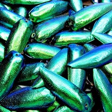 DRILLED lot of 10 pieces green blue beetle elytra shells wings picture