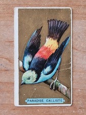 1910 T42 Bird Series Rare EMBLEM CIGARETTES Back- Paradise Calliste- Low Grade picture