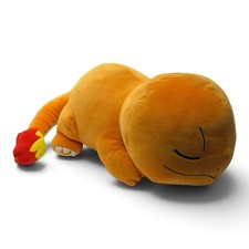 2021 Pokemon Sleeping Charmander 18
