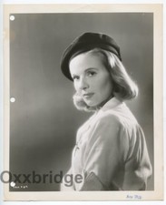 Ann Todd Portrait 1945 The Seventh Veil Original Vintage Photo J5095 picture