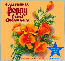 Redlands California Poppy #1 Orange Citrus Fruit Crate Label Vintage Art Print picture