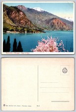 Cadenabbia Menaggio Lake Como Italy Vintage Postcard Alps Blossom picture