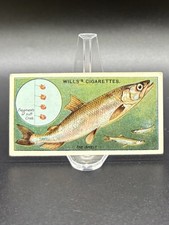 1910 Wills’s Cigarettes Fish & Bait Card #29 The Smelt – Series of 50 picture