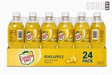 Canada Dry Pineapple Soda , 20 Fl Oz (Pack of 24) picture
