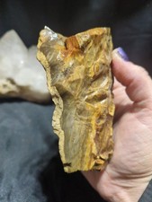 Petrified Opalized Wood Specimen Natural Form (16.8oz)  picture