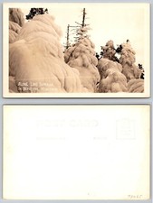 RPPC Lake Superior Keweenaw Michigan Heavy Snow Ice Winter Trees Postcard picture