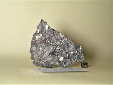 meteorite NWA 13951 Lunar, Moon feldspathic breccia 