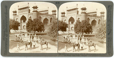 Stereo, Underwood & Underwood, European Publishers, Camel drivers waiting at S.  picture