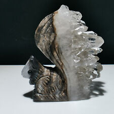 Natural Crystal Cluster Quartz Mineral Specimen,Hand Carved Squirrel Healing,A16 picture