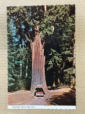Postcard Leggett CA California Chandelier Drive Thru Tree Car Redwood Highway picture