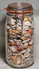 Vintage Triomphe France Le Parfait Super Glass Jar w/Florida Seashells, 4
