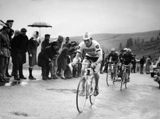 French Road & Track Cyclist Roger Pingeon C1960s 1 Old Cycling Photo picture