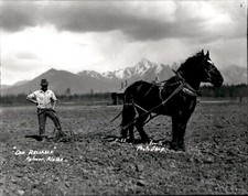 LG85 2nd Gen Restrike Photo OLD RELIABLE Palmer Alaska Farmer with Strong Horse picture