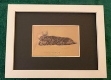 Wirehaired Dachshund - MATTED | FRAMED | READY TO GIFT - New Dog Art Print - W picture