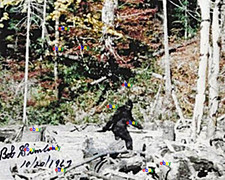 BOB ROBERT GILMAN SIGNED REPRINT AUTOGRAPH BIGFOOT 8