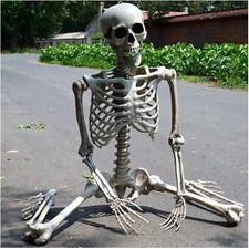 5.4ft Halloween Skeleton Full Body Life Size Skeleton Bones with Movable Joints picture