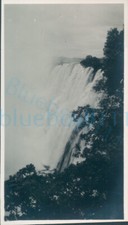1953 Photo Southern Rhodesia Victoria falls by trees 4.4x2.5