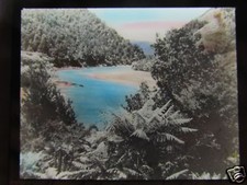 Glass Magic lantern Slide WEST COAST SOUTH ISLAND C1920 NEW ZEALAND picture