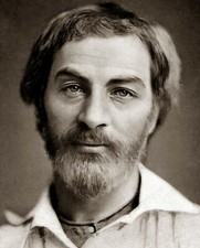 1855 Young American Literature Poet Author WALT WHITMAN Picture Photo 5x7 picture