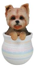 Yorkie Yorkshire Terrier Teacup Puppy Dog Figurine With Glass Eyes Pup In Pot picture