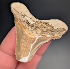 Super Unique 1.75