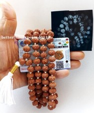GANESH GANESHA RUDRAKSHA OM KANTHA GANPATI TRUNK POWER SIDDHA MALA~JAVA~109- LAB picture