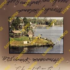 Vintage 35mm Slide - FLORIDA 1992 Monkey Island of Homosassa FL picture