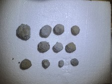 Geodes And Iron Geodes. ( Midwest) 20lbs picture