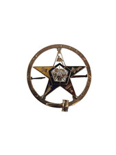 Order of the Eastern Star 1922 14K Gold Diamond Enamel Antique Riker Bros picture