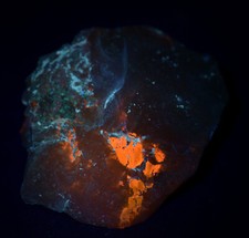 Petrified Wood limb cast, fluorescent. Texas Springs, Nevada. 337 grams. picture