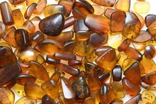 Lot of 50 amber preforms - Every piece with insects Guaranteed genuine picture