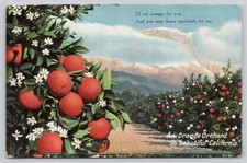 Vintage California Orange Orchard Postcard Newman Post Card Co. Germany picture