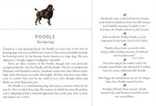 Poodle - CUSTOM MATTED Dog Art Print - Breed Description and History picture