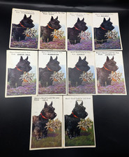 10 Vintage Novelty Fold Out Scottish Terrier HERE'S GOOD LUCK FOR YOU Postcards picture