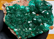 Dioptase - Brilliant Crystals - 128g. Rare DRC Mine - See Video - US Seller picture
