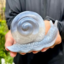 350G  Natural Agate Hand Carved Snail Crystal Healing Stone Decor With Stand picture