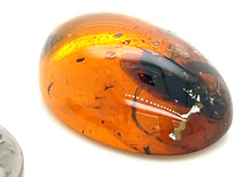 Certified 90 Million Year Old Burmese Amber Cabochon picture
