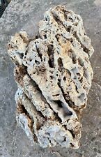 EXCELLENT* 14 Lb Fossil Coral Rock Unique Natural Decor~Pretty Sparkling Druzy picture