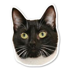Tuxedo Cat Magnet picture