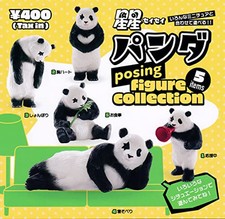 NEW Hoshi Hoshi Panda Posing Figure Collection [Complete Set of 5 Types] Gacha picture